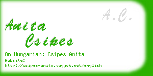 anita csipes business card